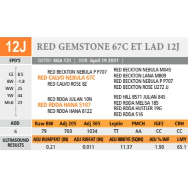 RED GEMSTONE 67C ET LAD 12J