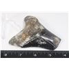 Image 2 : FOSSILIZED MEGALODON TOOTH WITH STAND