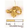 Image 2 : Gold Nugget Brooch / Lapel Pin, S.S. Central America Treasure [146614]