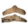 Image 2 : Men's Socks, Dement Trunk [156766]