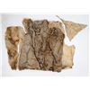 Image 2 : Gold Coin Vest, 2014 Recovery [159466]