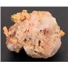 Image 2 : Gold in Quartz [160077]