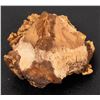 Image 2 : Gold in Quartz [160078]