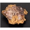 Image 2 : Gold in Quartz [160079]