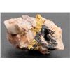 Image 1 : Gold in Quartz [160085]