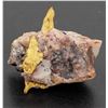Image 2 : Gold in Quartz [160085]
