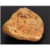 Image 2 : Gold Nugget [160093]