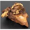 Image 2 : Crystalline Gold on Quartz [160110]