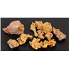 Image 1 : Crystalline Gold Specimens, 10 [160112]