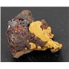 Image 2 : Nice Gold Leaf Specimen on Black Quartz [160120]