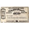 Image 1 : Mina Rica De Las Flores Gold & Silver Mining Co. Stock Certificate [154016]