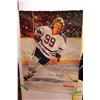 Image 2 : (2) Wayne Gretzky Posters