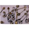 Image 3 : (21) Collectible Spoons + Misc