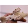 Image 12 : (3) Decorative Dog Figurines