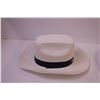 Image 2 : (2) Cowboy Hats (Large)