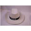 Image 3 : (2) Cowboy Hats (Large)