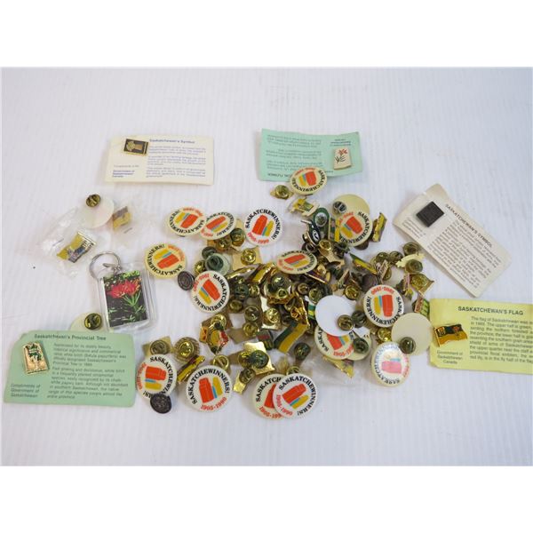 Assorted Pins