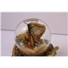 Image 2 : Musical Snowglobe