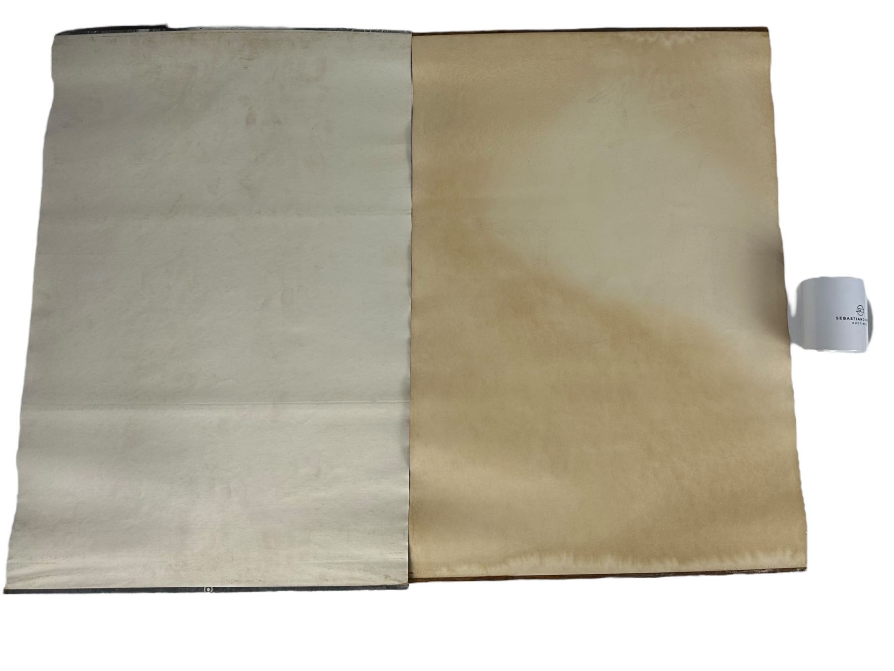 (2) Vintage Chinese Posters