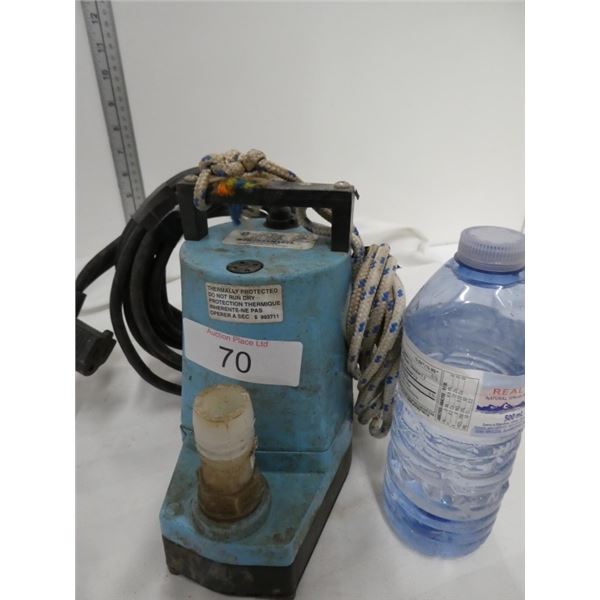 Little giant water pump