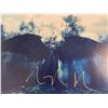 Image 1 : Maleficent Angelina Jolie signed movie photo