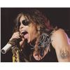 Image 1 : Steven Tyler signed photo