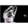 Image 2 : SWAROVSKI SCS 1995 LION - RETIRED AND SIGNED BY ARTIST