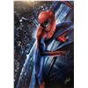 Image 1 : Stan Lee Autograph Signed Amazing Spiderman Poster