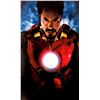 Image 1 : Robert Downey Jr Autograph Signed Iron Man Poster