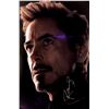 Image 1 : Robert Downey Jr Autograph Signed Avengers Poster