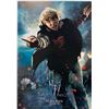 Image 1 : Rupert Grint Autograph Signed Harry Potter Poster