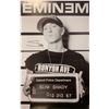 Image 1 : Autograph Signed Eminem Poster