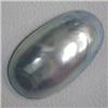 Image 1 : 40x20 MM GRAY MOTHER OF PEARL SHELL