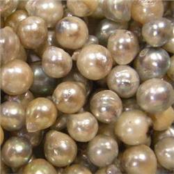 5X7 MM 100 AKOYA PEARLS PARCEL - UNDRILLED 