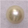 Image 1 : 10 MM SOUTH SEA PEARL - UNDRILLED