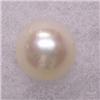 Image 1 : 10 MM SOUTH SEA PEARL - UNDRILLED