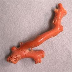20.05 CTS FREE FORM NATURAL ITALIAN CORAL BRANCH 45x15 MM