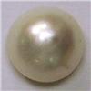 Image 1 : 12 MM WHITE MOBE PEARL