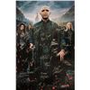 Image 1 : Harry Potter Deathly Hallow 2 Signed Poster