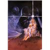 Image 1 : Star Wars New Hope Signed Poster