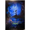 Image 1 : Autograph Princess and the Frog Poster