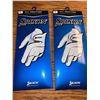 Image 1 : NEW set of 2 - Srixon All Weather Golf Gloves Mens Medium Left