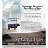 Image 1 : 22 Head - Calving Feb 24th