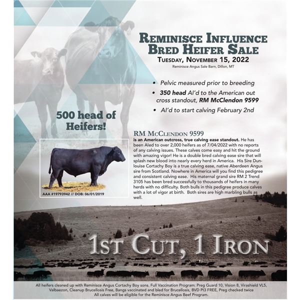 17 Head - Calving Mar 11 - Apr 5