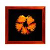 Image 1 : Small Hawaiian Feather Lei by Boris Huang.