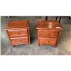 Image 1 : PAIR OF 2 DRAWER NIGHTSTANDS