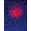 Image 9 : NEW 7 IN ONE USB CHARGE LASER POINTER/UVLIGHT/FLASHLIGHT