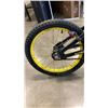 Image 3 : BATMAN YOUTH BIKE