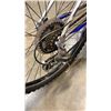 Image 8 : GREY/BLUE TREK BIKE