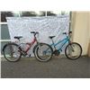 Image 1 : TEAL TECH TEAM AND RED/GREY DUNLOP BIKES